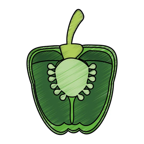 ピーマン スライス栄養食品を描画 — ストックベクタ