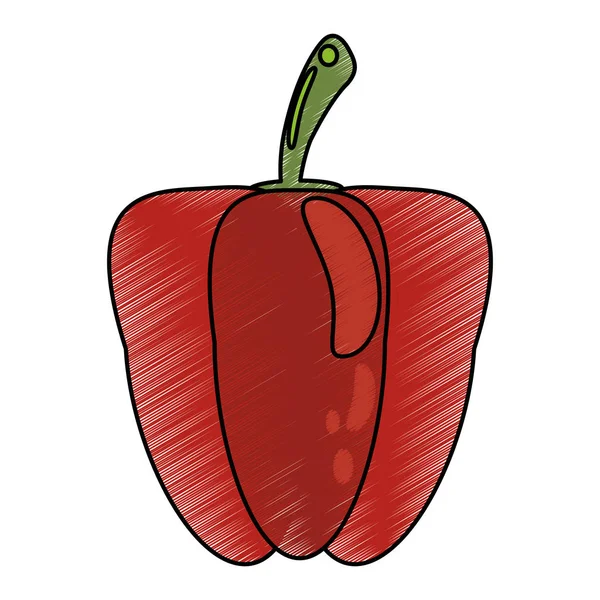 Dibujo pimienta nutrición alimentos — Archivo Imágenes Vectoriales
