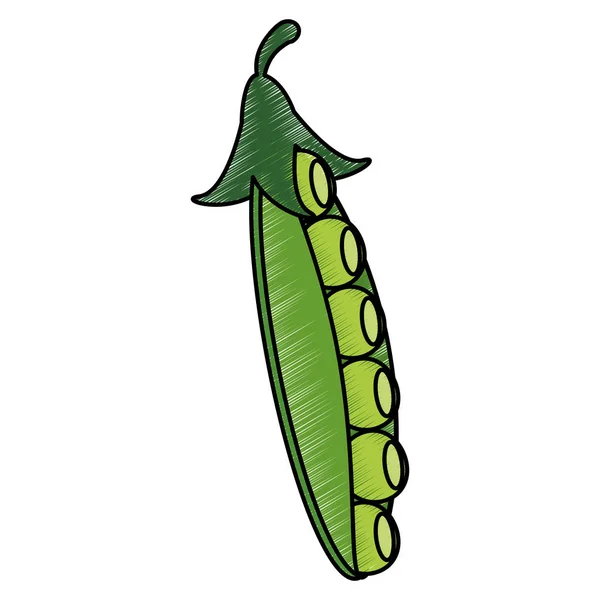 Dibujo de alimentos de peapod nutrición — Vector de stock