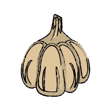 sarımsak gıda diyet sağlıklı