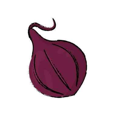 soğan gıda diyet sağlıklı