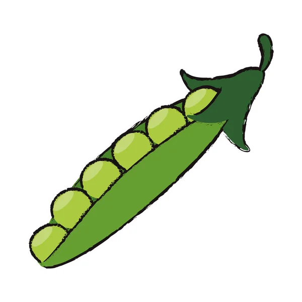 Peapod alimentation saine — Image vectorielle