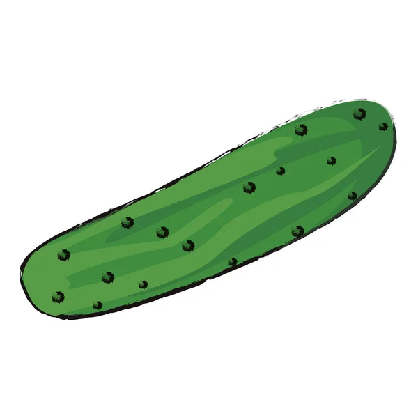 Dieta alimenticia de pepino saludable — Vector de stock