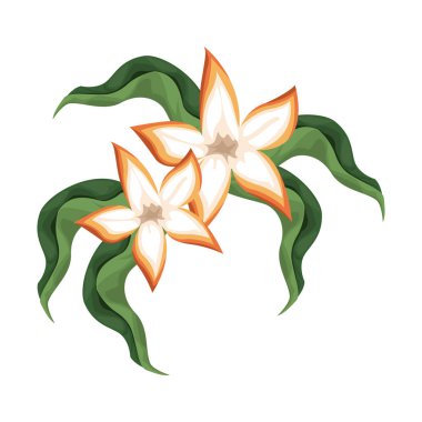 doğa tropikal çiçek yaprakları