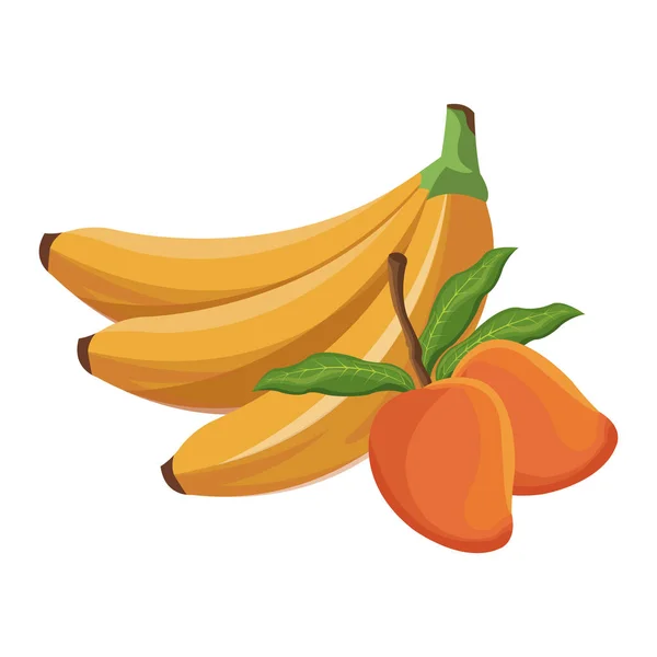 Banana e manga fruta comida tropical — Vetor de Stock