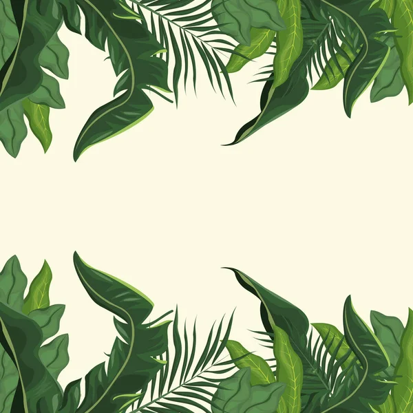 Foglie tropicali palma immagine — Vettoriale Stock