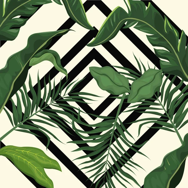 Tropische Blätter Palme Design — Stockvektor