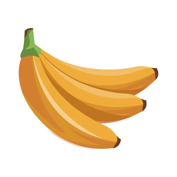 Banan frukt tropiska mat — Stock vektor
