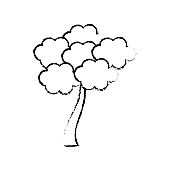 스케치 트리 사쿠라 일본 식물 — 스톡 벡터