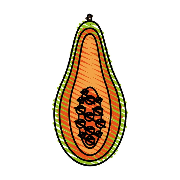 Papaya vector illustration — Stock Vector