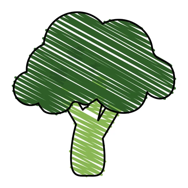 Ilustración vector brócoli — Vector de stock