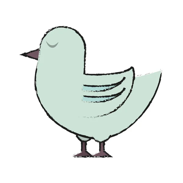 Ilustración del vector de aves — Vector de stock