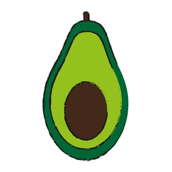 Avocado vector illustratie — Stockvector