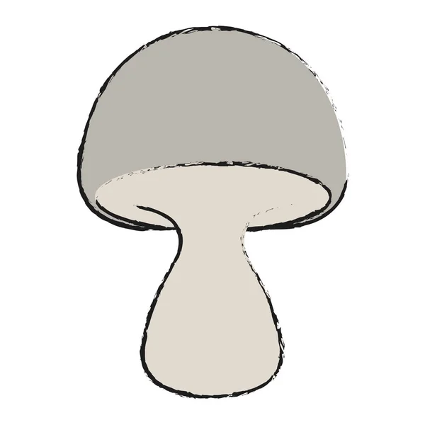 Mushroom vector illustration — Stock Vector