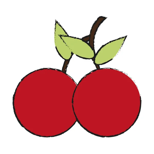 Cherries vector illustration — Stock Vector