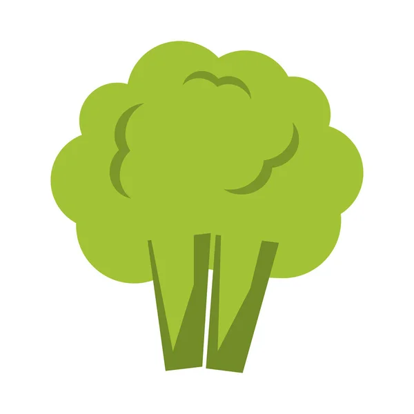 Imagem de ícone de couve-flor ou brócolis — Vetor de Stock