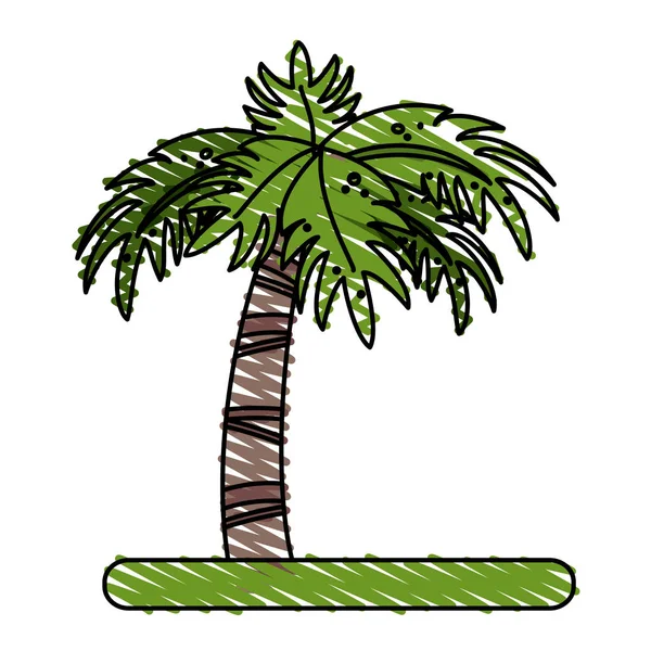 Palm vectorillustratie — Stockvector