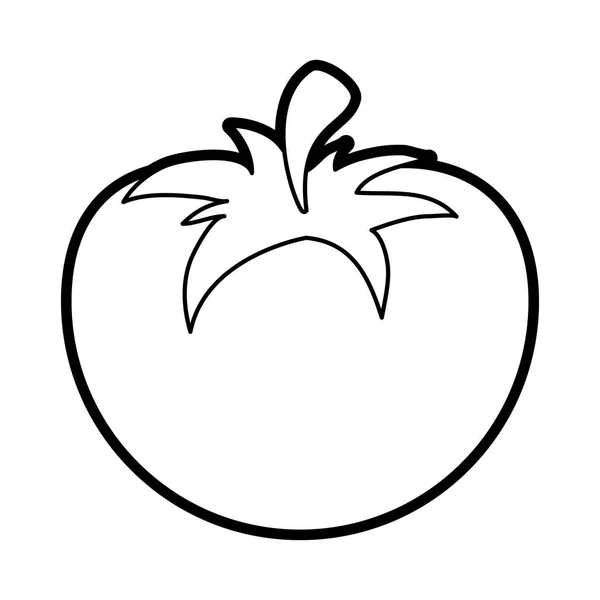 Ilustración del vector de tomate — Vector de stock