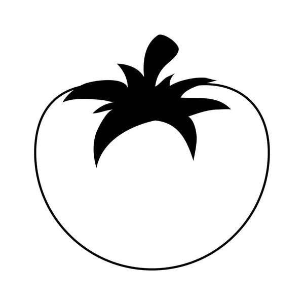 Whole tomato icon image — Stock Vector