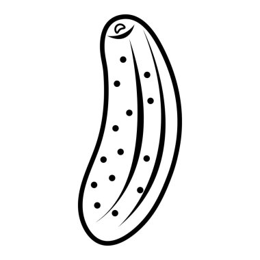 Kabak illüstrasyon vektör