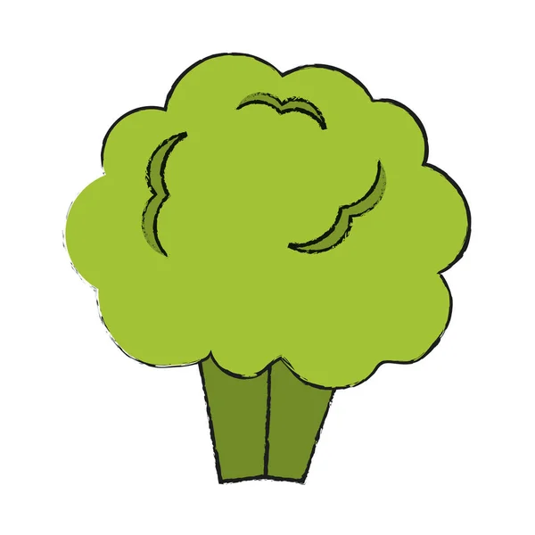 Ilustrasi vektor brokoli - Stok Vektor