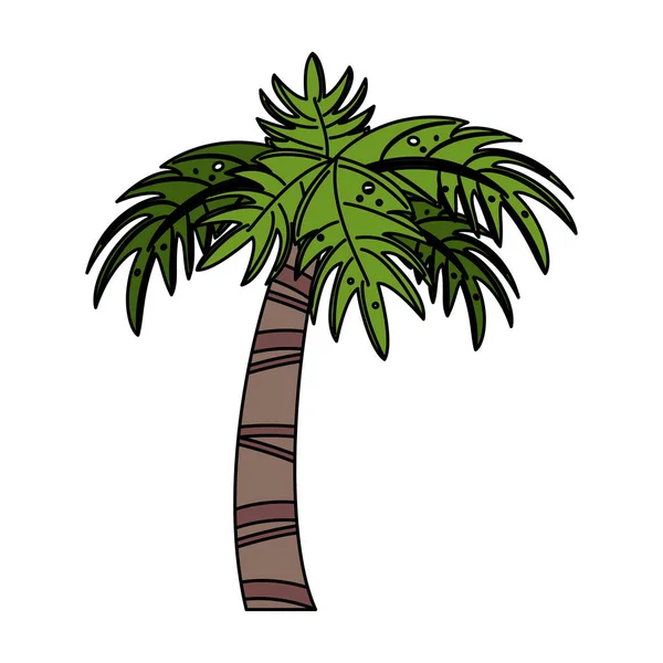 Obrázek ikony Palm tree — Stockový vektor