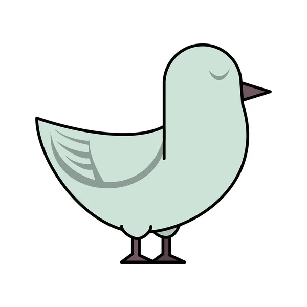 Fågel med ögonen stängda ikonbild — Stock vektor