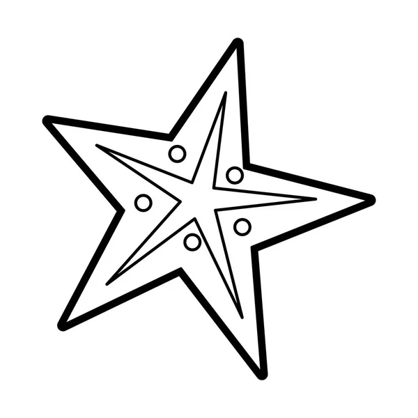 Starfish vector illustratie — Stockvector