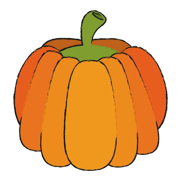 Pumpkin vector illustration — Stock Vector