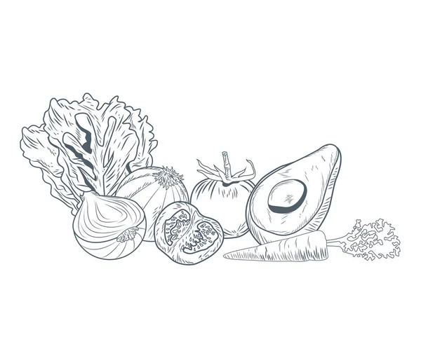 Овощи рисуют вручную — стоковый вектор