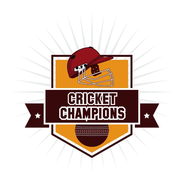 Emblema de campeones de cricket — Vector de stock