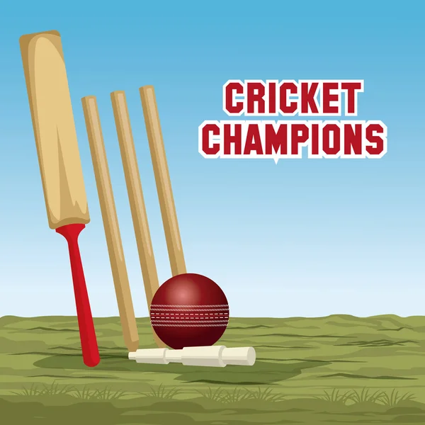 Diseño de campeones de críquet — Vector de stock