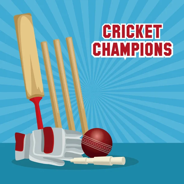 Diseño de campeones de críquet — Vector de stock