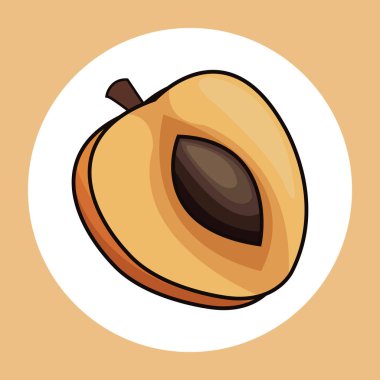 dilim kayısı sağlıklı taze görüntü