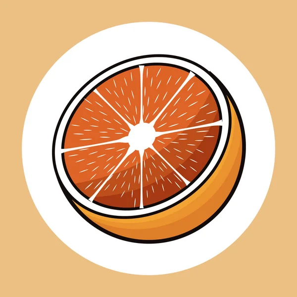 Meia laranja imagem fresca saudável — Vetor de Stock