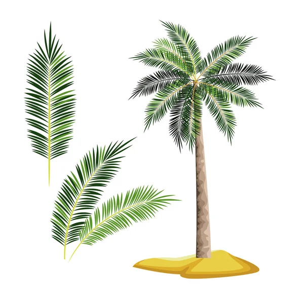 Beach boom palmen — Stockvector