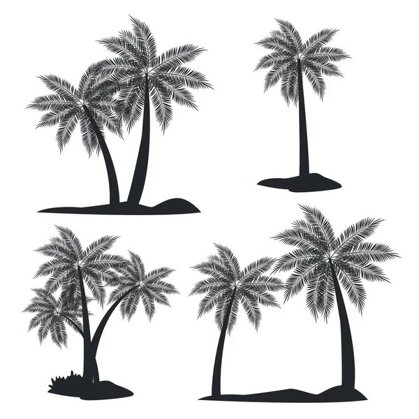 Palm tree Beach — Wektor stockowy