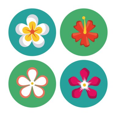 Çiçekler yuvarlak simgeler