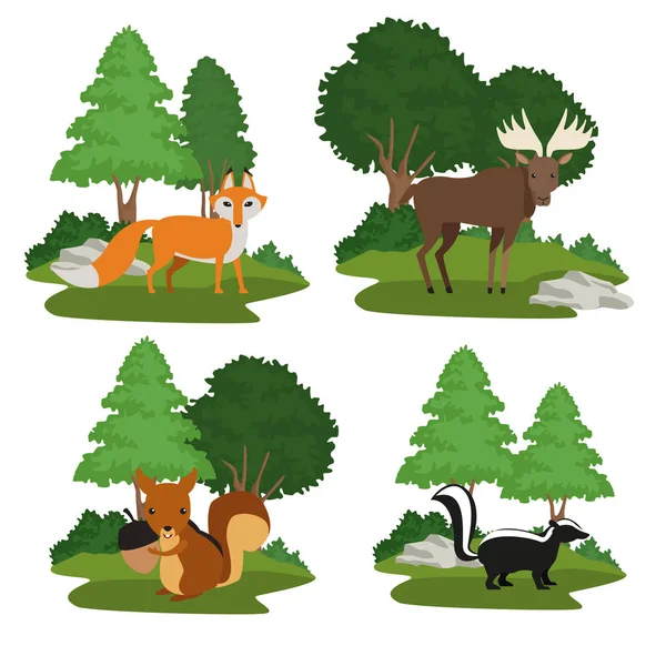 Animais da floresta desenhos animados — Vetor de Stock