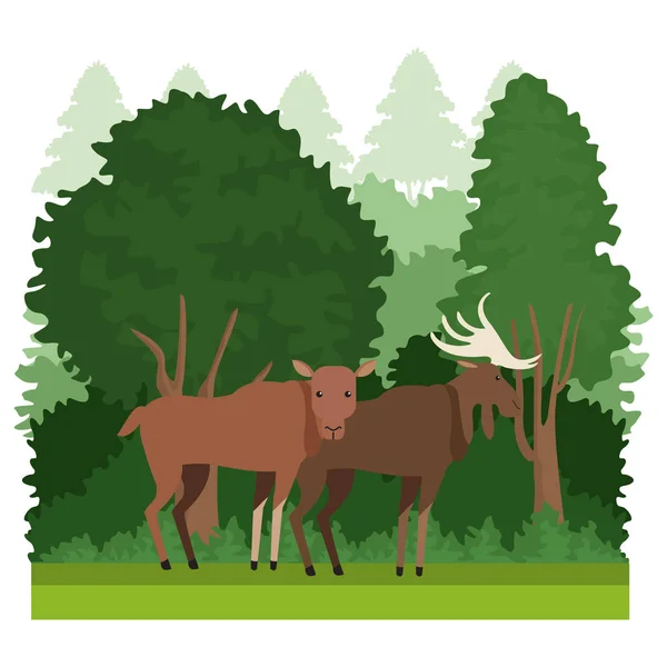 Orman hayvanlar karikatür — Stok Vektör