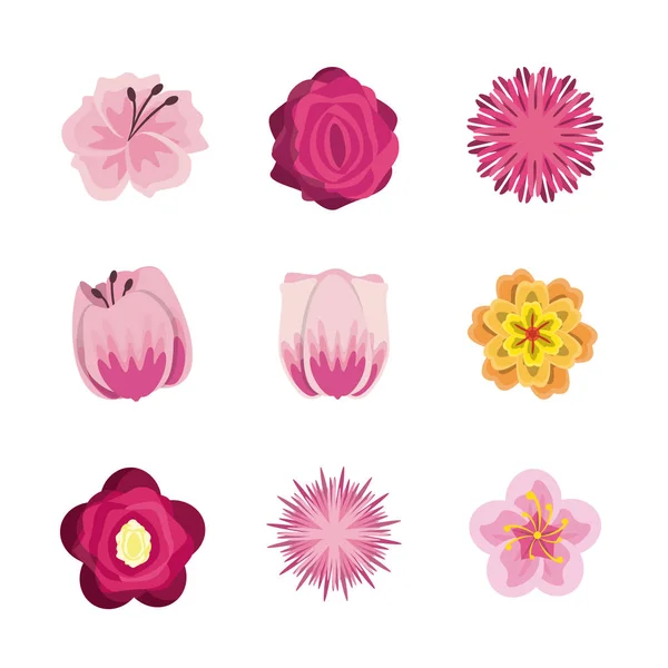 Bloemen ronde iconen — Stockvector