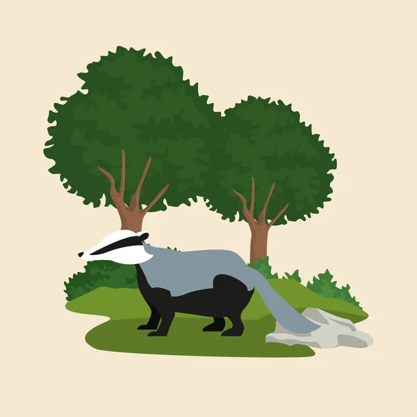 Forest animals cartoon — Stock Vector