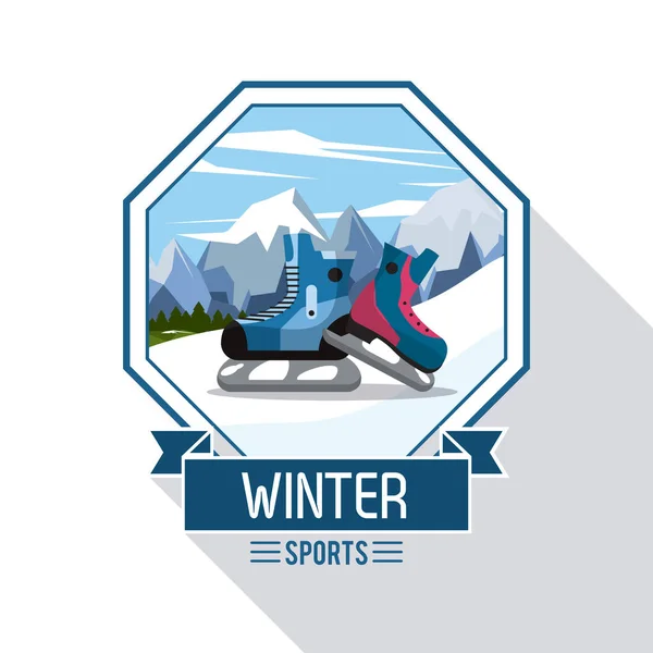 Kış Doğa Sporları — Stok Vektör