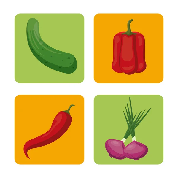 Gemüse frisch ernten gesundes Image — Stockvektor