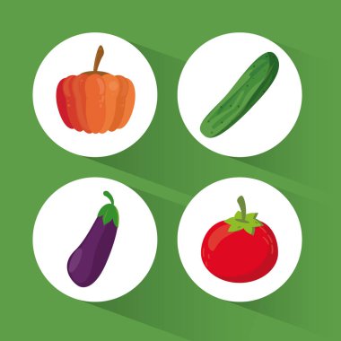 set organik sağlıklı gıda