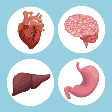 insan vücudu dairesel çerçeve organları ile arka planını renklendirin