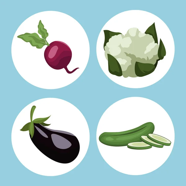 カラー背景の円形フレーム野菜と健康食品 — ストックベクタ