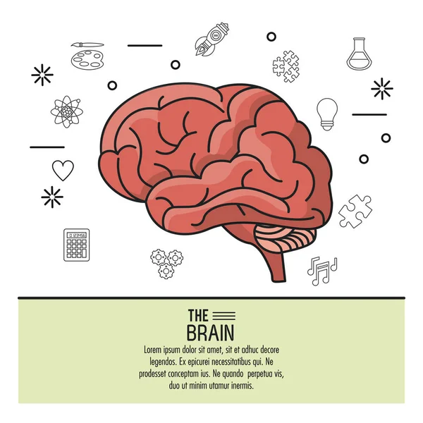 Barevný plakát mozku s monochromatické ikony v pozadí tvůrčí myšlení — Stockový vektor