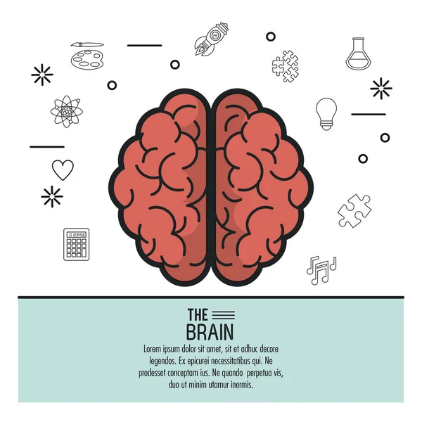 Красочный плакат с видом на два полушария головного мозга — стоковый вектор