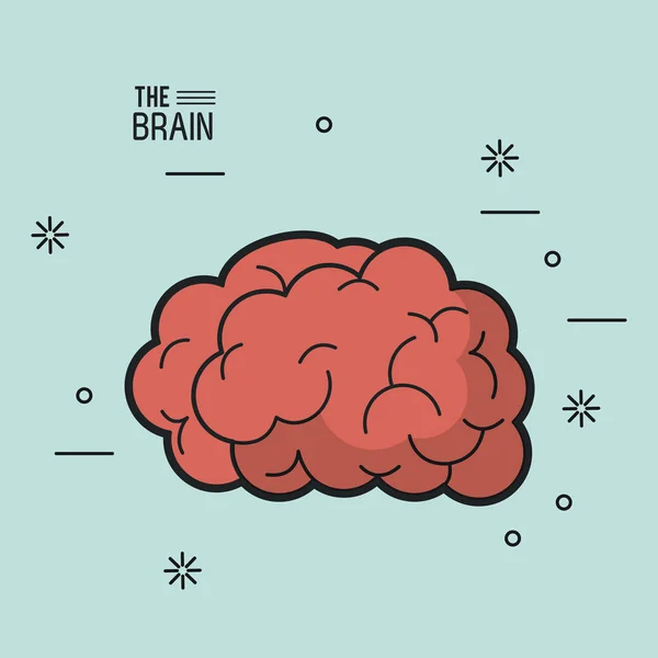 Färgglad affisch av hjärnan i ljusblå bakgrund — Stock vektor